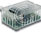 RF Mottagare mini 12-24V AC/DC RRA85-1NN